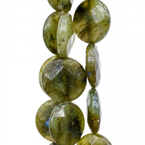 Rough Green Labradorite Round Flat Faceted 25mm