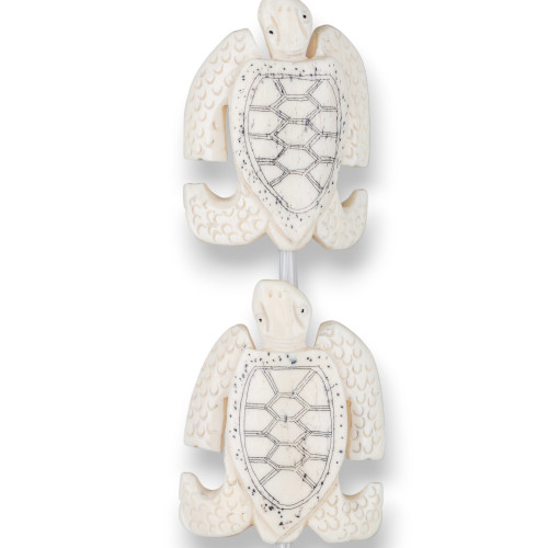 Os de Tortue Blanche 45x65mm 6pcs