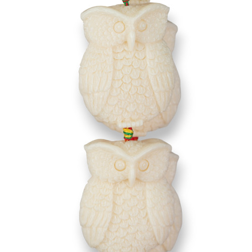 Resin Beads Owls Engraving Front Back 30x40mm 9pcs White