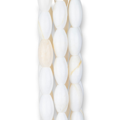 White Striped Rice Shell 10x18mm