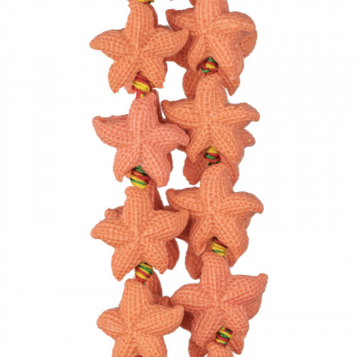 Resin Starfish 20mm 16pcs Salmon Pink