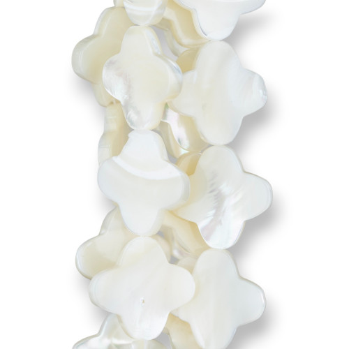 White Mother of Pearl Four Leaf Clover Plate 20mm