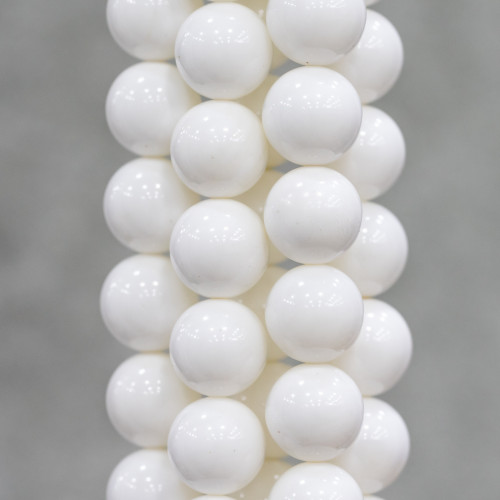 White Round Smooth Shell 12mm