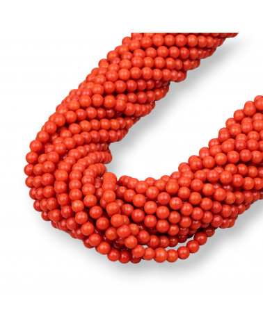 Corail Bambou Rouge Sardaigne Rond Lisse 3mm-BAMBOU CORAIL | Worldofjewel.com