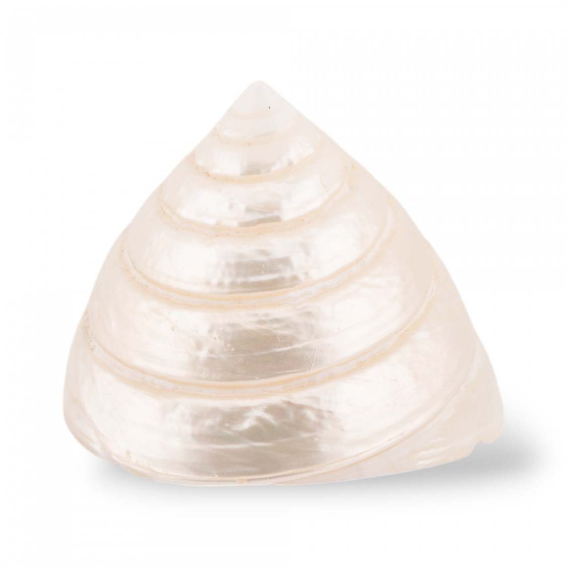 Soprammobile Di Conchiglia Naturale 60mm Bianco-MOTHER OF PEARL SOPRAMOBILE | Worldofjewel.com