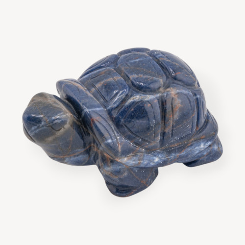 10cm Sodalite Turtle Stone Ornament Statue