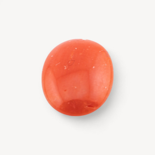 CABOCHON DI CORALLO ITALIANO | Worldofjewel.com
