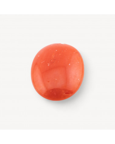 Cabochon di Corallo Rosso Italiano Naturale Premium 8,5x11,8mm 1pz-CABOCHON DI CORALLO ITALIANO | Worldofjewel.com