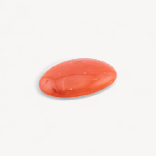 CABOCHON DI CORALLO ITALIANO | Worldofjewel.com