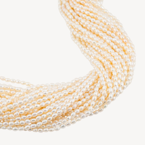 Catégories | Worldofjewel.com