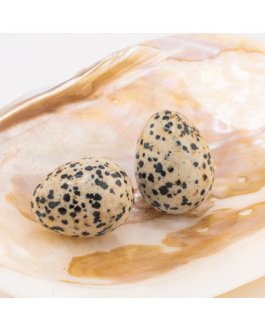 Ovetto Di Pietre Dure Naturali 22x30mm Diaspro Dalmata 1pz-MINERALI E SOPRAMMOBILI VARI | Worldofjewel.com