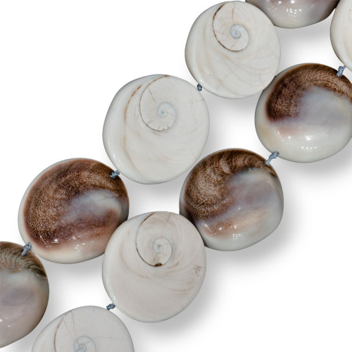 Natural Shell 36-50mm