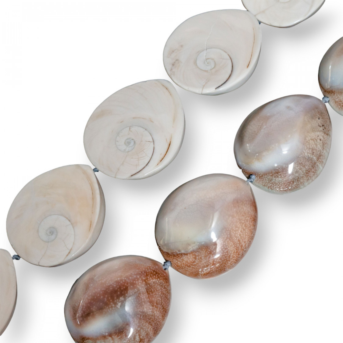 Conchiglia Naturale Goccia 27-30x34-40mm-CONCHIGLIA BIANCA | Worldofjewel.com
