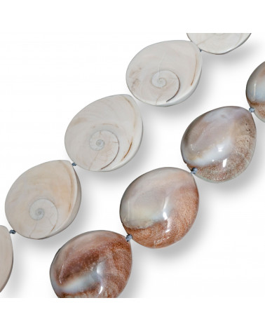 Conchiglia Naturale Goccia 27-30x34-40mm-CONCHIGLIA BIANCA | Worldofjewel.com