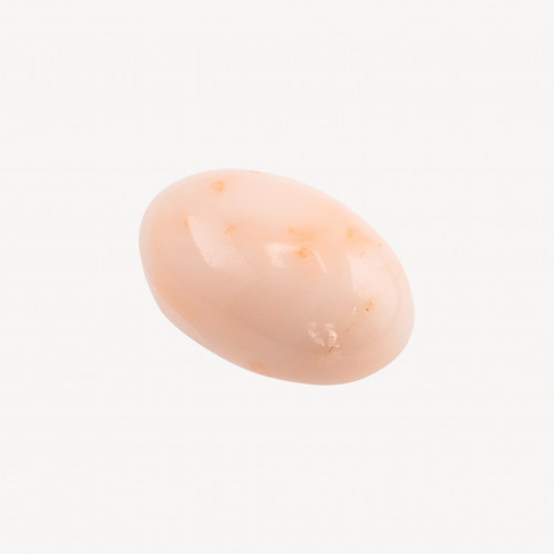 Cabochon de corail rose italien naturel de qualité supérieure, 19,5 x 10 mm, 1 pièce