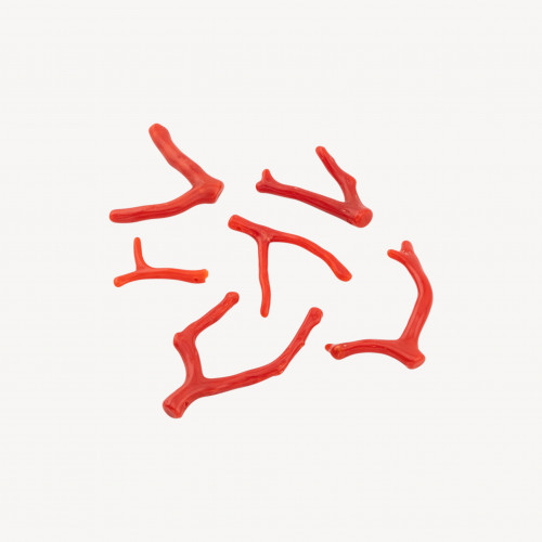 Coral Fringe Branches 5g Pack