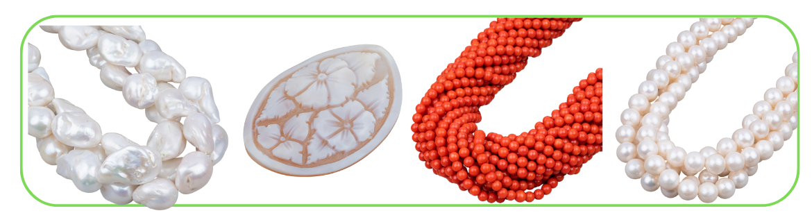 Online sale Freshwater pearls, corals and cameos - World of Jewel