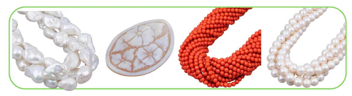Venta online de perlas de agua dulce, corales y camafeos - World of Jewel