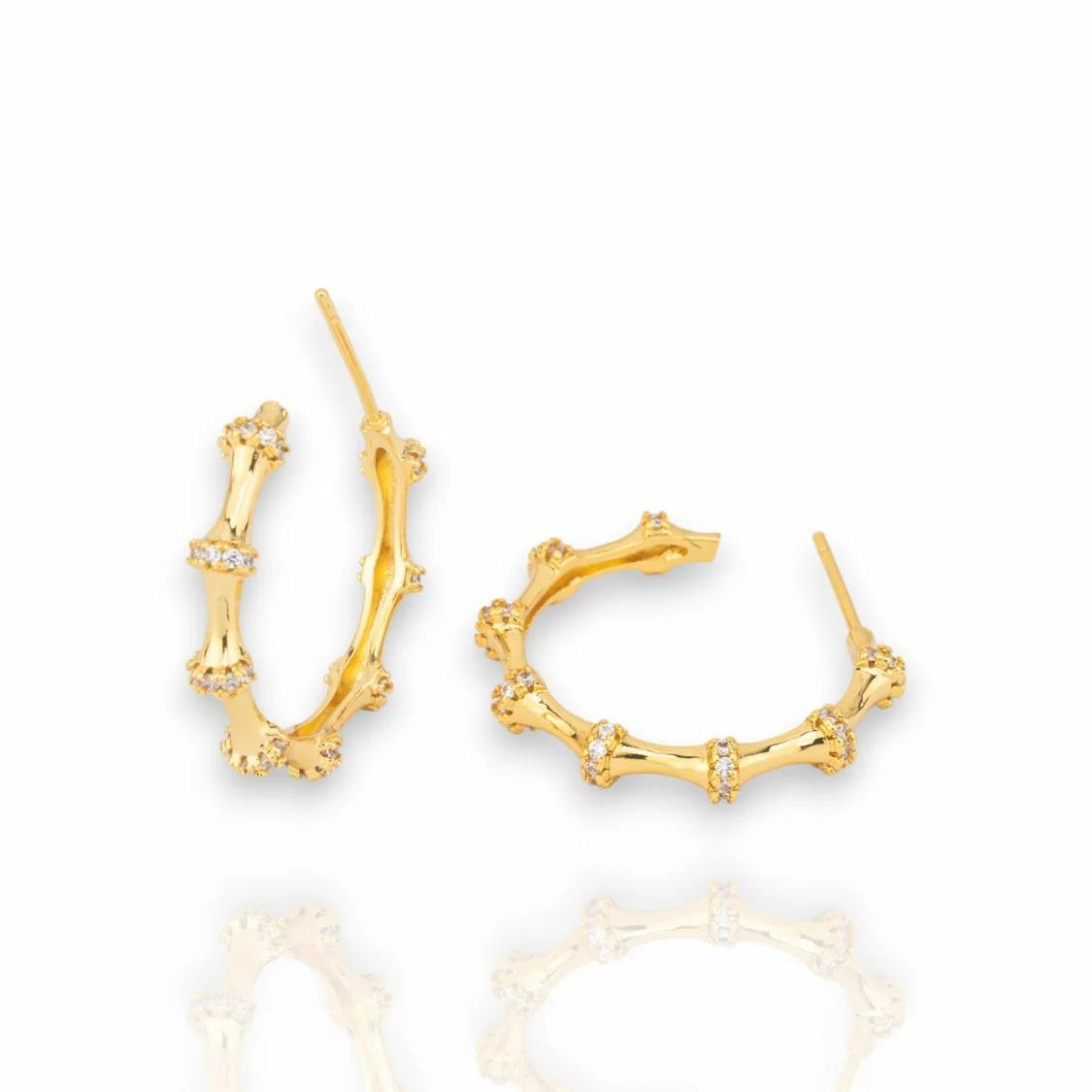 COLECCIÓN VIVIANA