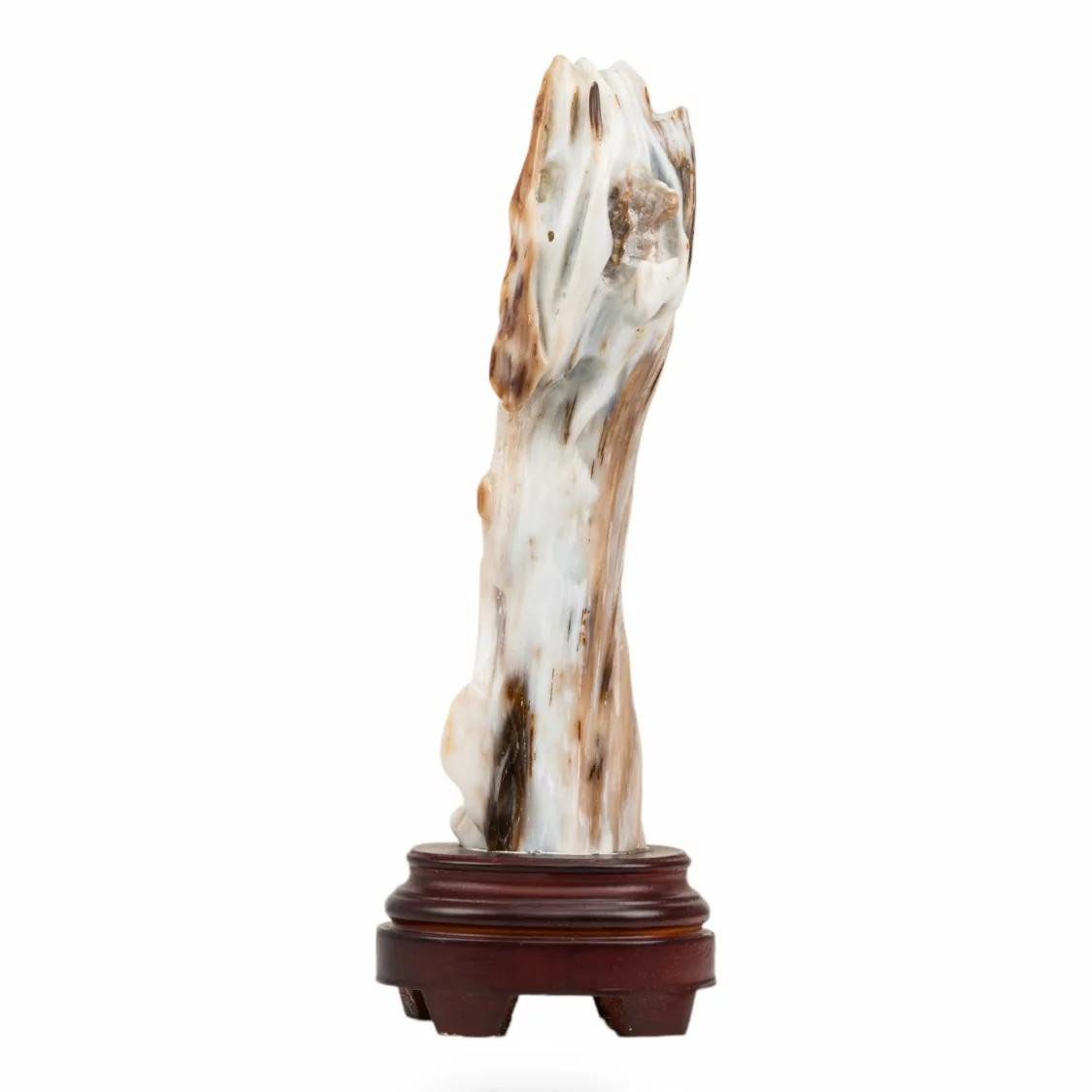 LEGNO FOSSILE